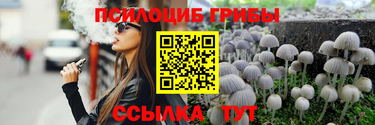 Псилоцибиновые грибы Cubensis Пугачёв